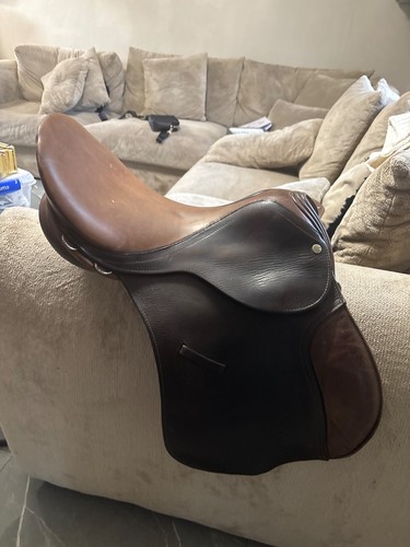 Brown huntsman pony - brown,