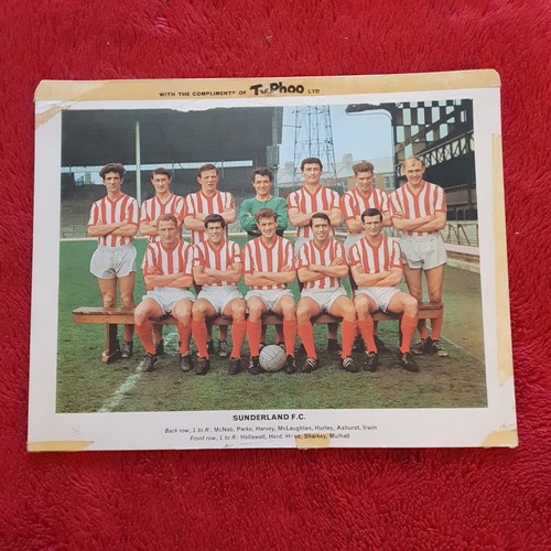 Typhoo tea famous football - tea,