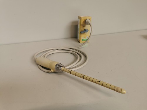 Endocavity ultrasound probe - ultrasound,