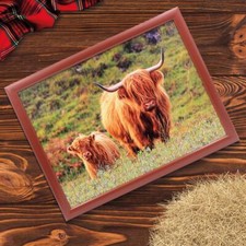 Highland Cow & Calf Laptray