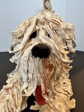 FB Fogg Frog Shaggy Dog Life