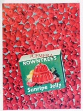Rowntree's 'SUNRIPE JELLY' Food Advert - Original 1951 Print