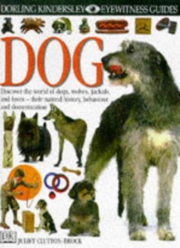 Dog by - (eyewitness, guides)
