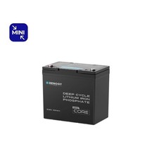 Renogy 100Ah 12V Lithium