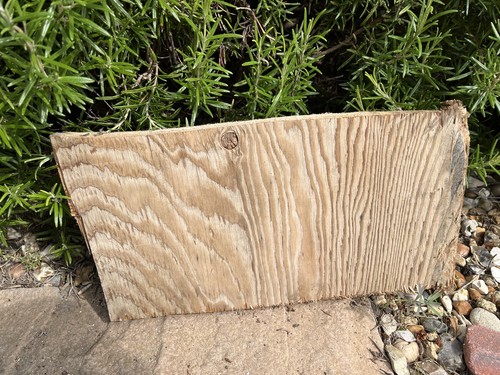 36x18cm flat driftwood - 36x18cm, plywood