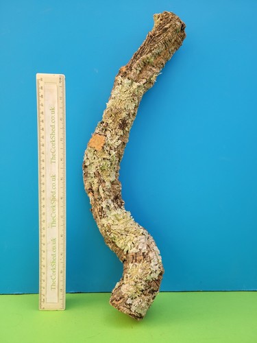 Cork bark branch - 41cm, snake