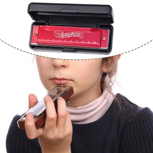 Mouth organ portable teaching - mouth,