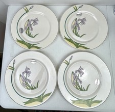 Arcopal France Diana 10.5