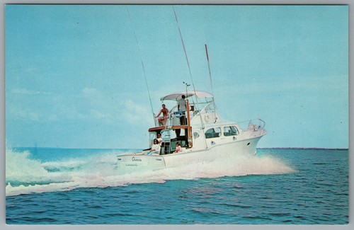 Islamorada florida cheeca - islamorada,