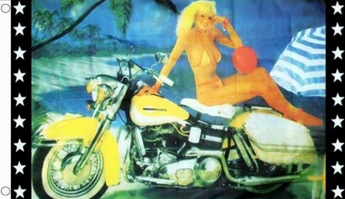 Sexy girl and motorcycle - girl, 5x3