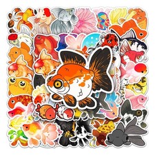Goldfish Goldfish Scooping