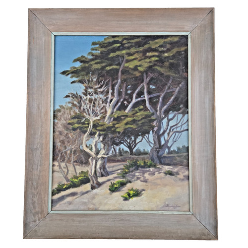 Vtg 60s 70s sand - vtg, cypress