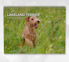 Lakeland Terrier Calendar