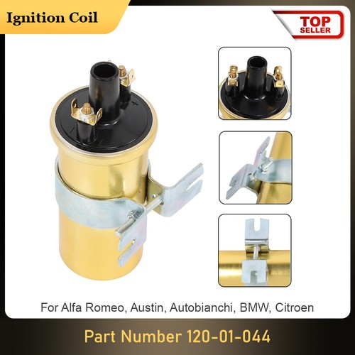 Dlb105 gold sports - gold, ignition
