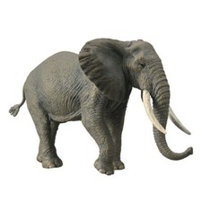 Collectible CollectA African