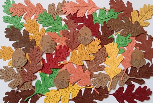 Mixed oak autumn leaves - 50,