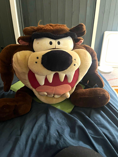 Vintage large looney - vintage, tunes