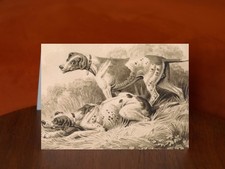 Gun Dogs by Samuel Howitt - A5 Art Print Greeting Card