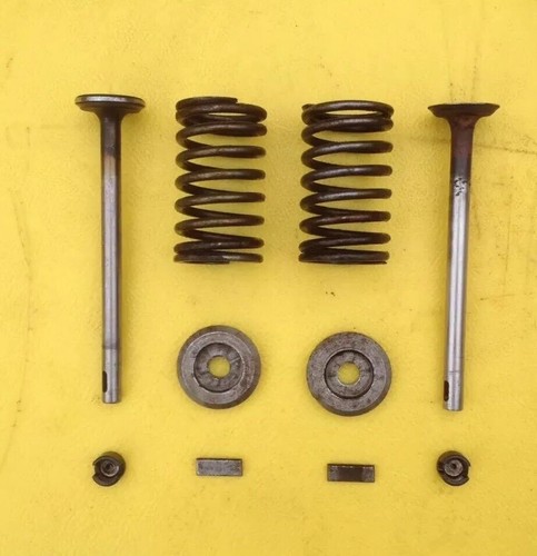 Lister model stationary - model, d