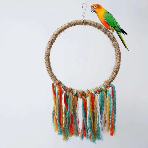 Coloured rope ring swing - ring,