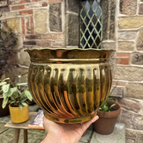 Brass planter jardiniere - brass,