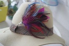 feather  brooch, hat pin