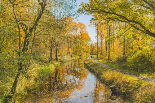 Fine art photographs - -, limited