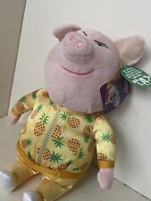 Gunter Pig Soft Toy Beanie