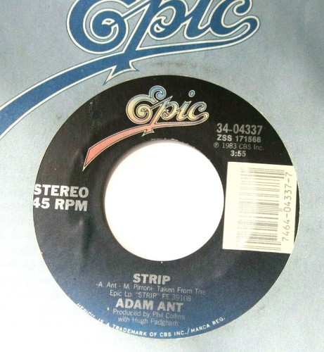 Adam ant strip - adam,