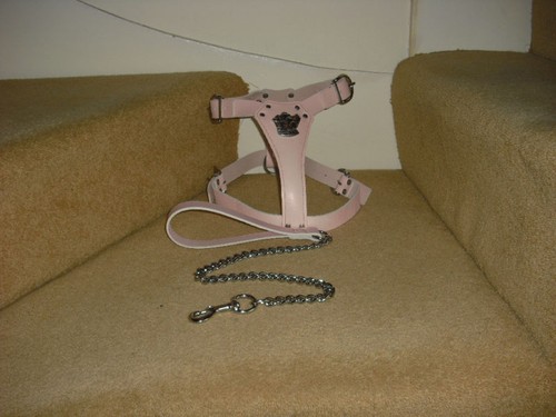 Pink padded leather dog - padded,