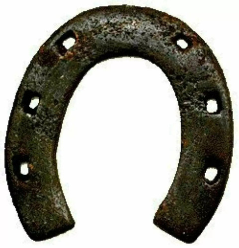 Real black horse shoe kale - black,