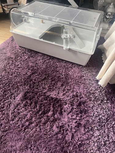 Brand new large indoor cage - brand,