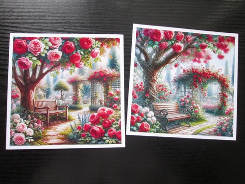 Set x beautiful rose - of,