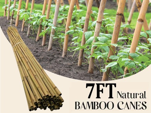 Heavy duty bamboo canes 7ft - bamboo,