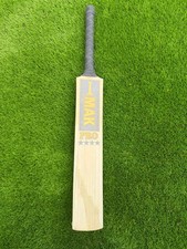 English Willow Cricket Bat