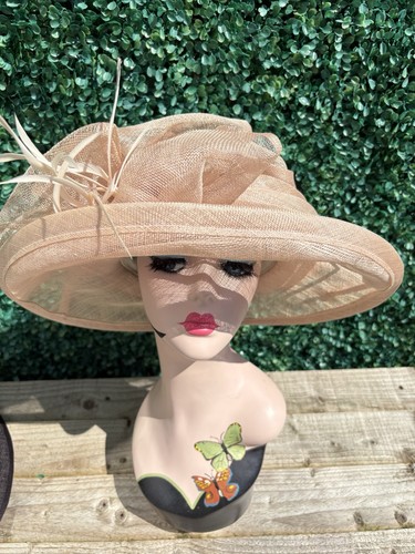 Womens special occasion races - womens,