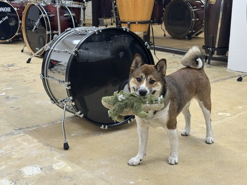 Ludwig o stainless - 22”,