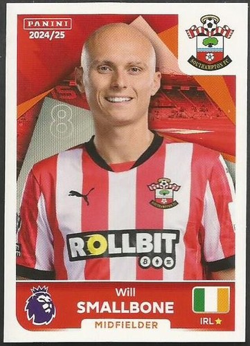 Panini 2025 premier - panini,
