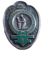 Nursery Examination Board enamel badge 1945 nursing