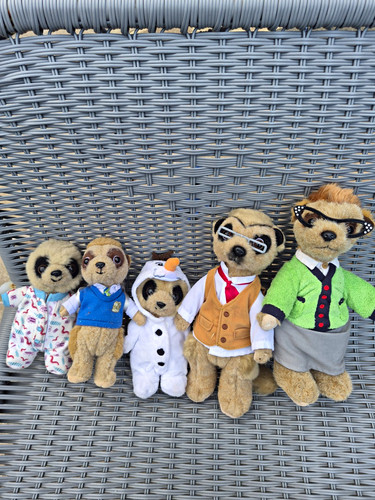 Compare the market meerkats - the,