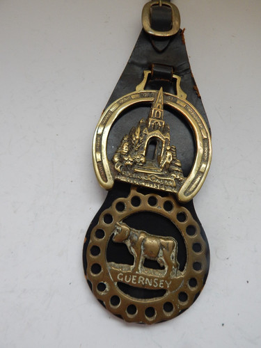 Horse brass leather strap - horse,