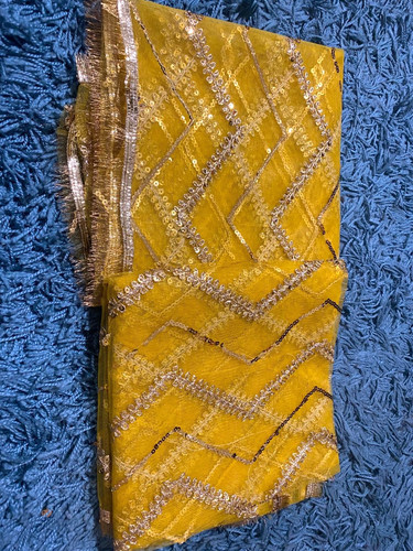 Net dupatta with gota - gota, lace