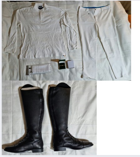 Equestrian horse riding - equestrian,
