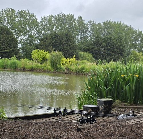 Grey prodigy 12ft 3lb set - 3lb,