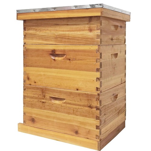 Frame langstroth beehive - frame,