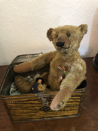 Original steiff mohair bear - original,