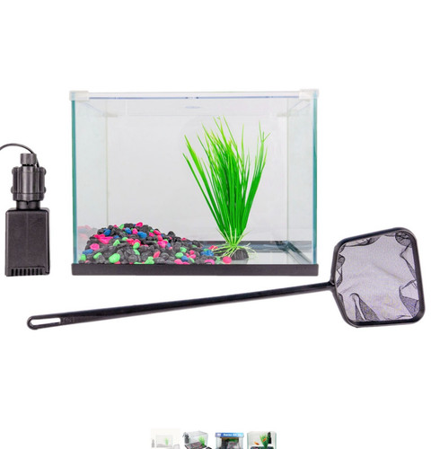 Glass aquarium fish - aquarium, tank