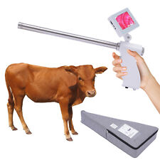 Visual Insemination Gun Cattle