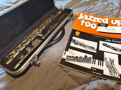 Beginners silver flute hard - silver,