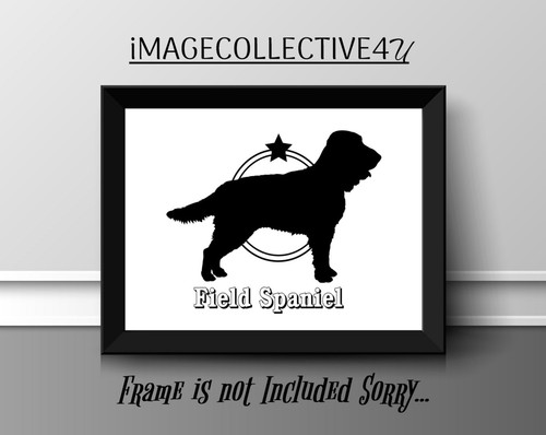Field spaniel pet - spaniel, dog